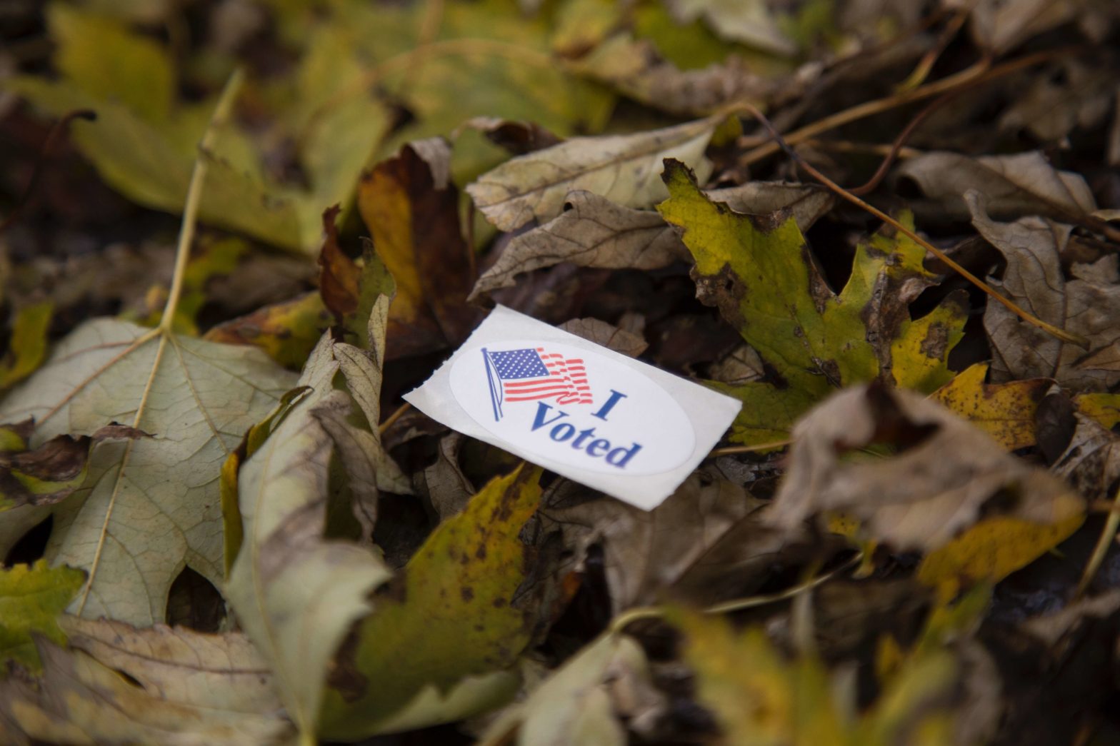 Democrats, Republicans, Independents